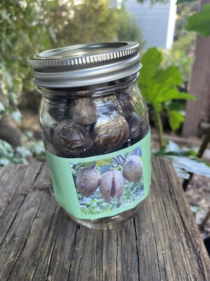 38 Spices  Whole  Nutmeg  In Shell Indonesian Nutmeg Banda Island For Cooking