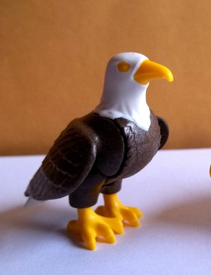 good birthday presents for 12 year olds