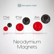 Biomagnetism Magnet Starter Kit