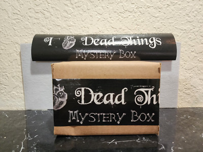 Dead Things Mystery Box (SMALL) Ready to Ship! Bones Skulls Teeth! Holiday GIFT