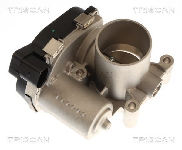 Triscan Drosselklappenstutzen 8820 29034 FüR VW Polo 4 FOX 5Z1 5Z3 5Z4 5Z5 12V 1-image