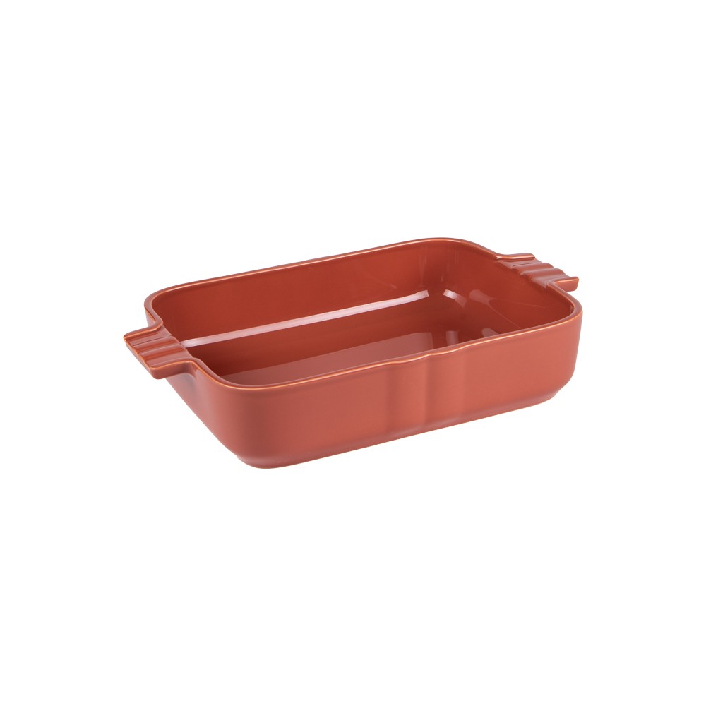 Plat terracotta Lourmarin grès rectangulaire 30x20 four et service