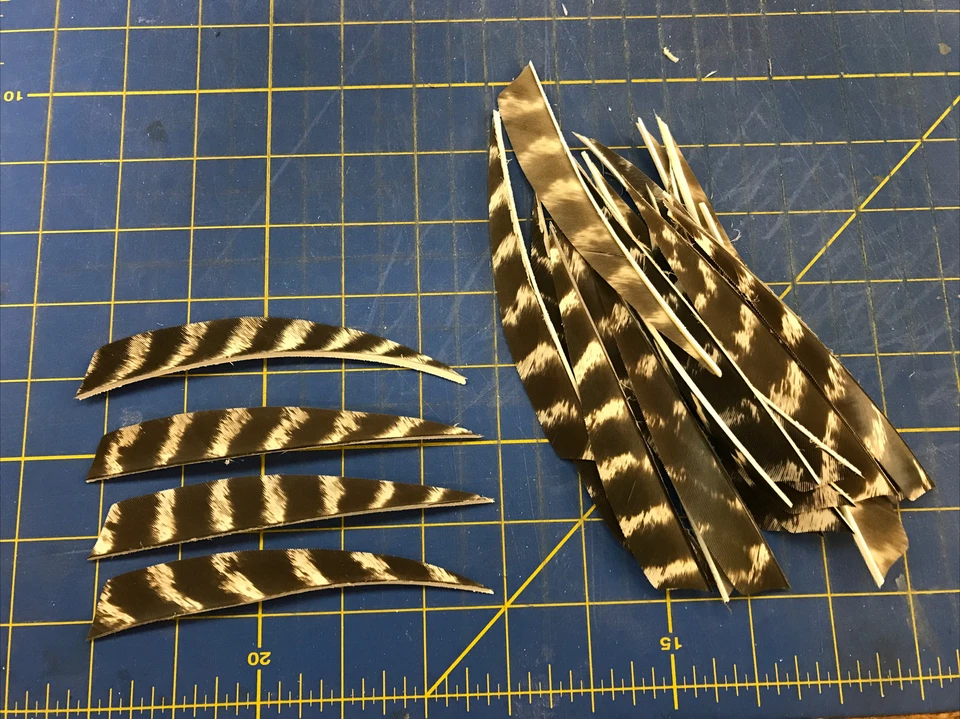 5" Right Wing Shield Natural Barred Feather Fletching, 25Pk Archery 🇺🇸 - Image 2 of 2