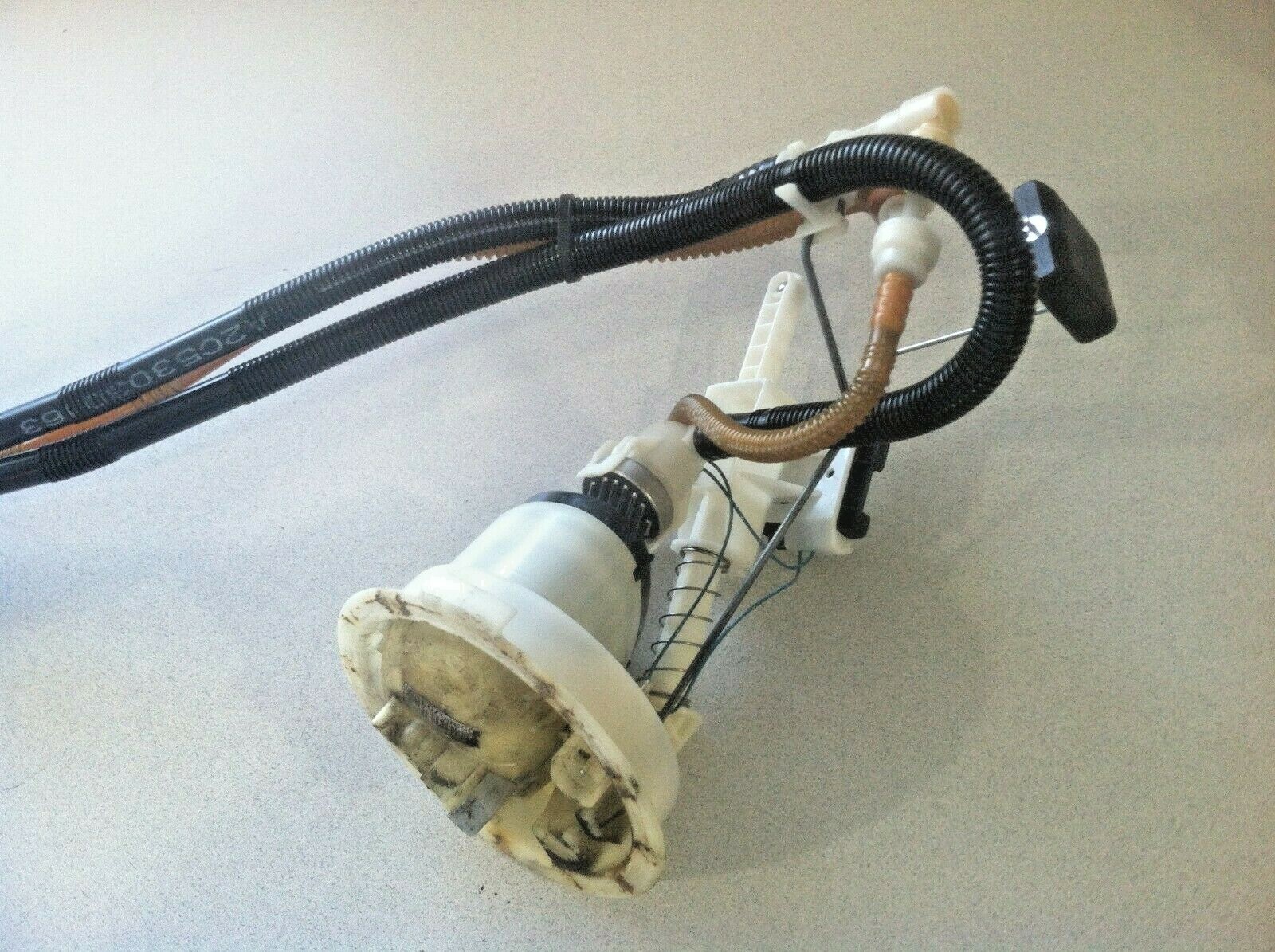 Picture 4