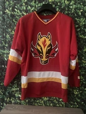 Vintage NHL CCM Hockey Calgary Flames Blasty Jersey Adult Medium