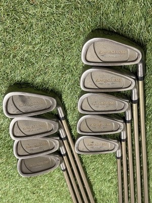 *HERREN KOMPLETTSATZ YONEX ADX 200 EISEN 3 BIS SW - REGULAR FLEX SCHÄFTE*