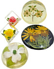 5 Vintage Lucite Paperweights and Decorative Items w. Rolfe signed & others — photo 1