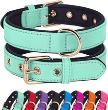 Ultra Soft Padded Leather Dog Collar for Small Dogs M, 11"-15"