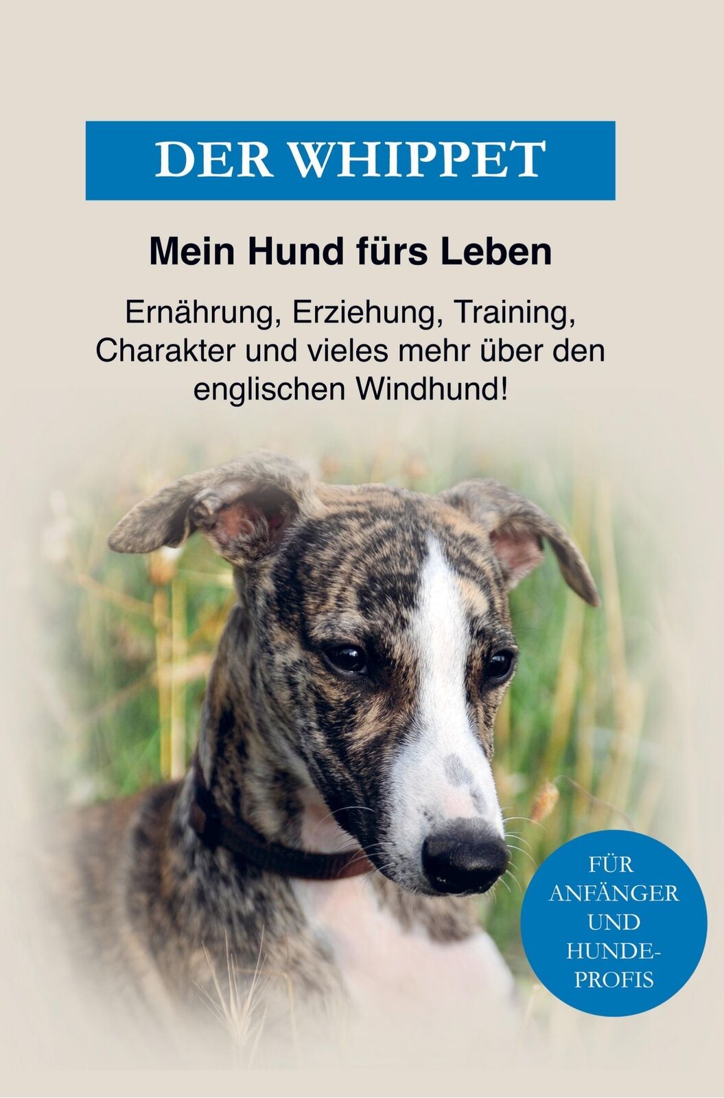 Thumbnail - Whippet - Der Englische Windhund | Mein Hund Fürs Leben Ratgeber |