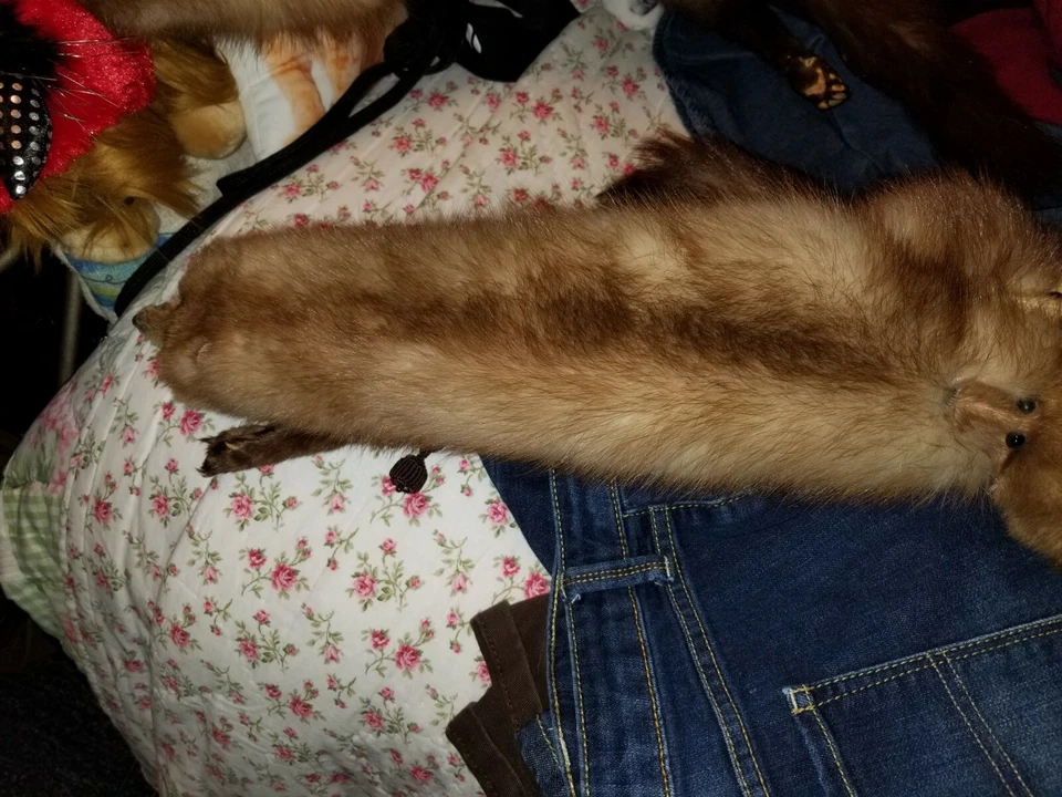 ESTOLAS DE PIEL DE VISÓN VINTAGE 4 PIELES ENTERAS ABRIGO CUELLO ENVOLTURA  Foto 4 de 4