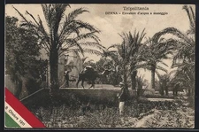 CPA Tripolitania, Derna, Elevatore d´acqua a maneggio 