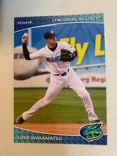 Luke Wakamatsu 2018 Lynchburg Hill Cats Team Card