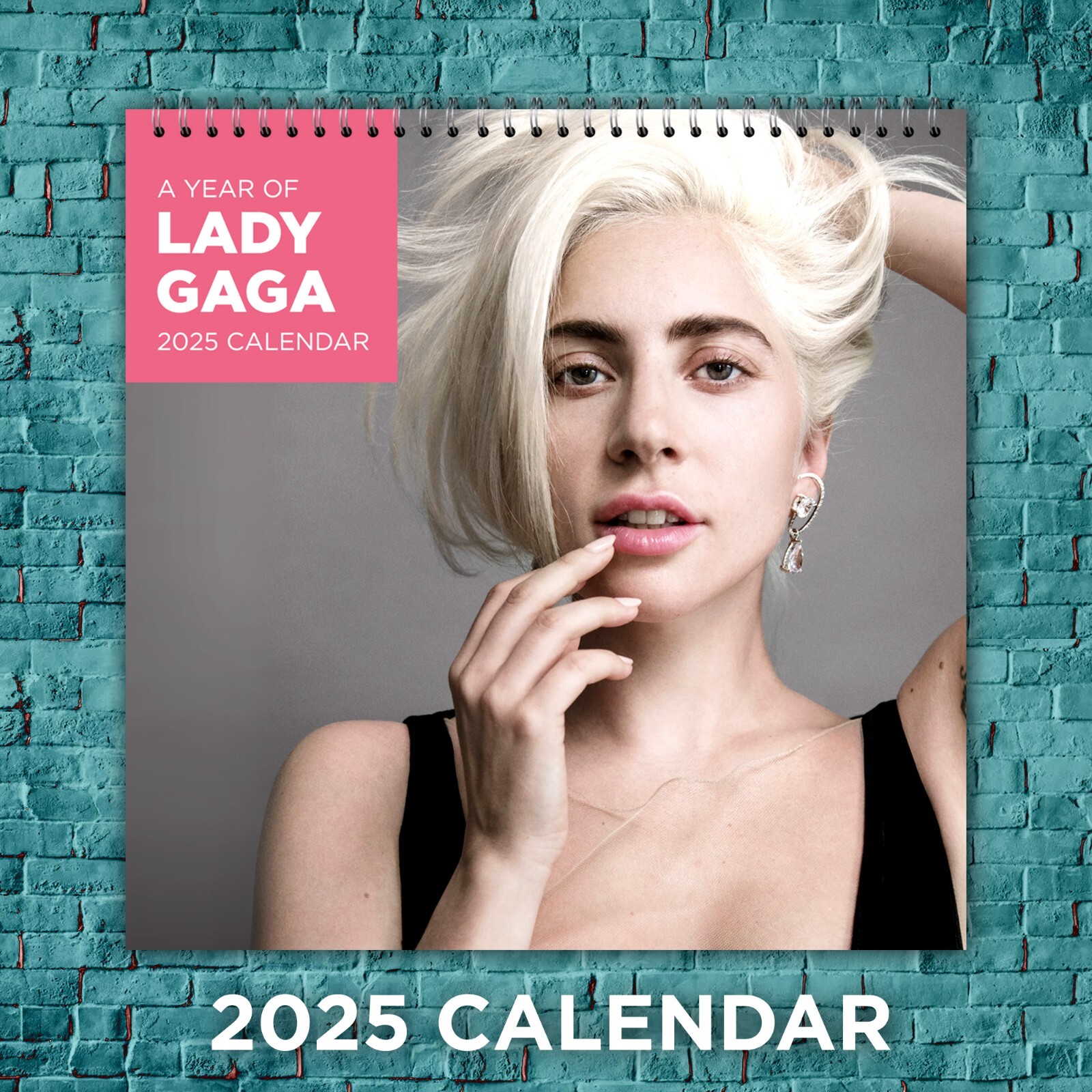 Lady Gaga 2025 Music Calendar, 12-Month Celebrity Wall Calendar, Fan Gift