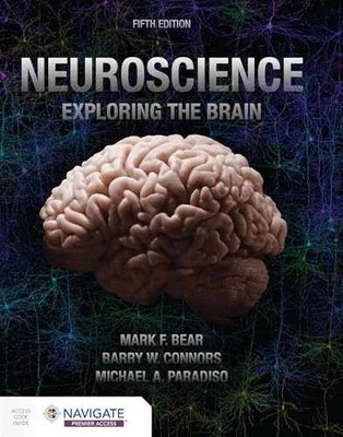 Neuroscience: Exploring the Brain - Paperback, by Bear Mark; Connors - New h