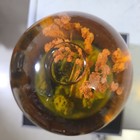 CoolSnowGlobes Spring Cool Snow Globe. brand new nice with box nice  — photo 5
