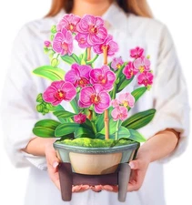 Airpark Pop Up Flower Card, 3D Paper Flowers Bouquet – 14" Orchids, Pink 
