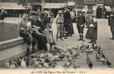 Old postcard 69 - LYON (Rhone) - 148. Les Pigeons Place des Terreaux, animated. ECL