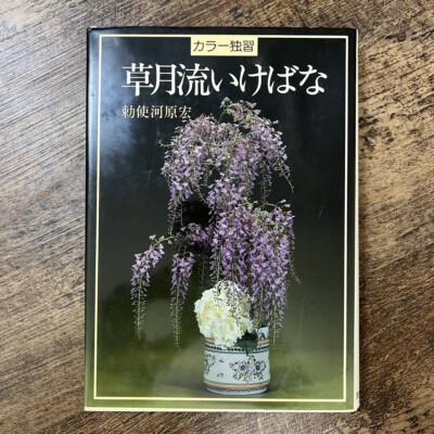 Sogetsu Style Ikebana Hiroshi Teshigahara Color Self Study Picture Book JAPAN