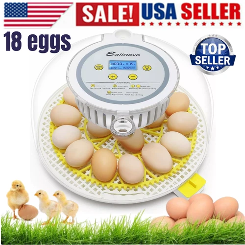 18 Egg Poultry Incubator for Hatching Chick Automatic Turning with Egg Candler~