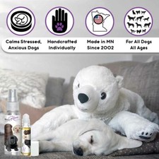 Labrador Retriever Relax Aromatherapy  Calms Anxious, Scared Dogs Naturally