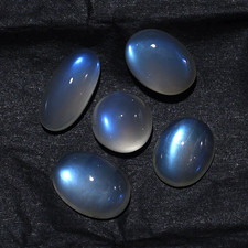 Celestial Glow 5 PC Madagascar Natural Rainbow Moonstone 10mm-14mm Cabochon Lot
