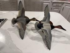 Eastern Shore Signed Paul Nock 1976 Salisbury, Maryland Flying Canvasback Decoys