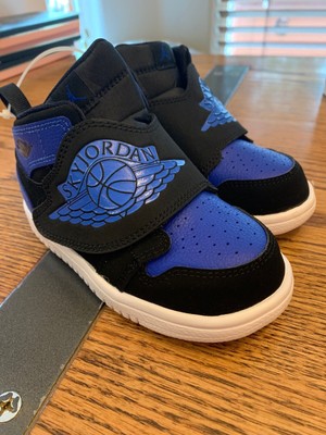 sky jordan 1 td