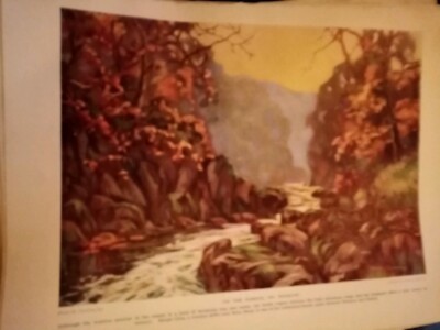 Ea6  Ephemera 1920s book plate on the dargle County wicklow 