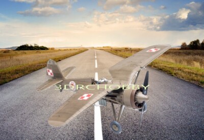 PZL P-11-C 53'' WS Polish Fighter RC Airplane Kit Laser Cut Balsa & Ply Short Kit