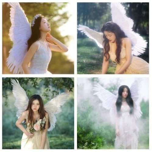 Box-D4 Large Angel Feather Wings Fancy Dress Costume Accessory White Black Pink