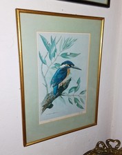 Vintage Signed Limited Edition "Kingfisher" Print by Basil Ede Gilt Framed