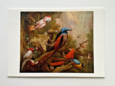 Jakob Bogdani Paradiesvogel Offizielle Ausstellung Galerie Kunstkarte Tate Gallery