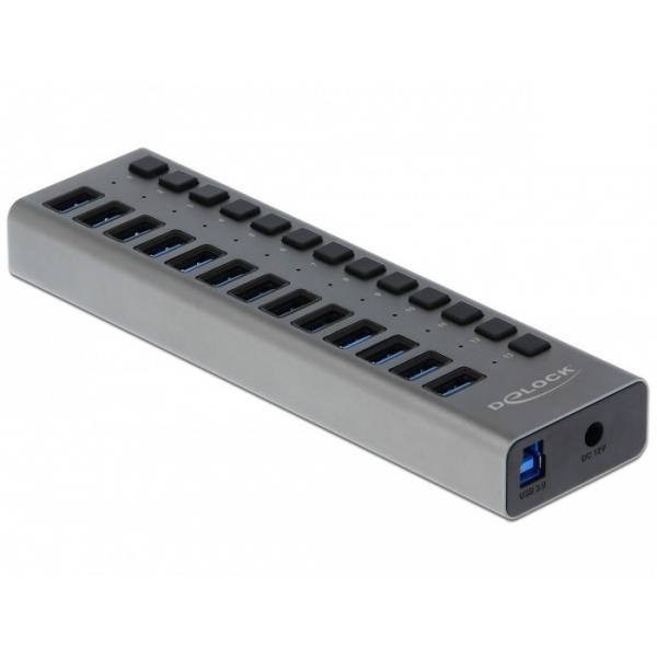 Delock Grigio Superspeed Esterno (Usb-B, 13 Porte), Docking Station + Hub Usb, - Immagine 2