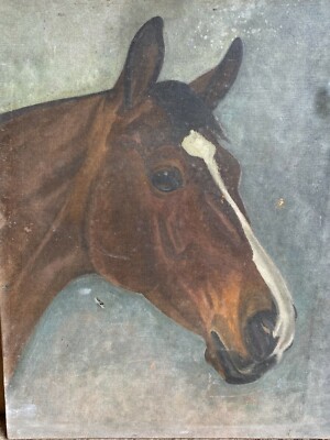 Etude & Portrait De Cheval Vers 1900/1920 & Malerei Auf Leinwand & Frankreich