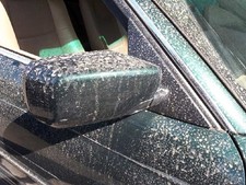 Retroviseur droit (ou coque) BMW 330