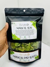 50 hojas milagrosas (hoja de vida) planta curativa tradición herbal jamaicana