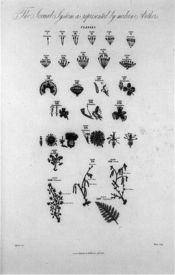 Photo:Sexual system,represent,modern historic photo