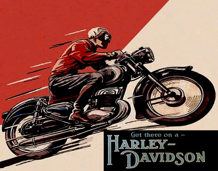 Harley davidson ebay usa deals
