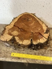 Live Edge Red Cedar Wood Bowl Turning Blank Eastern Red Cedar Live Edge 8”x 8”