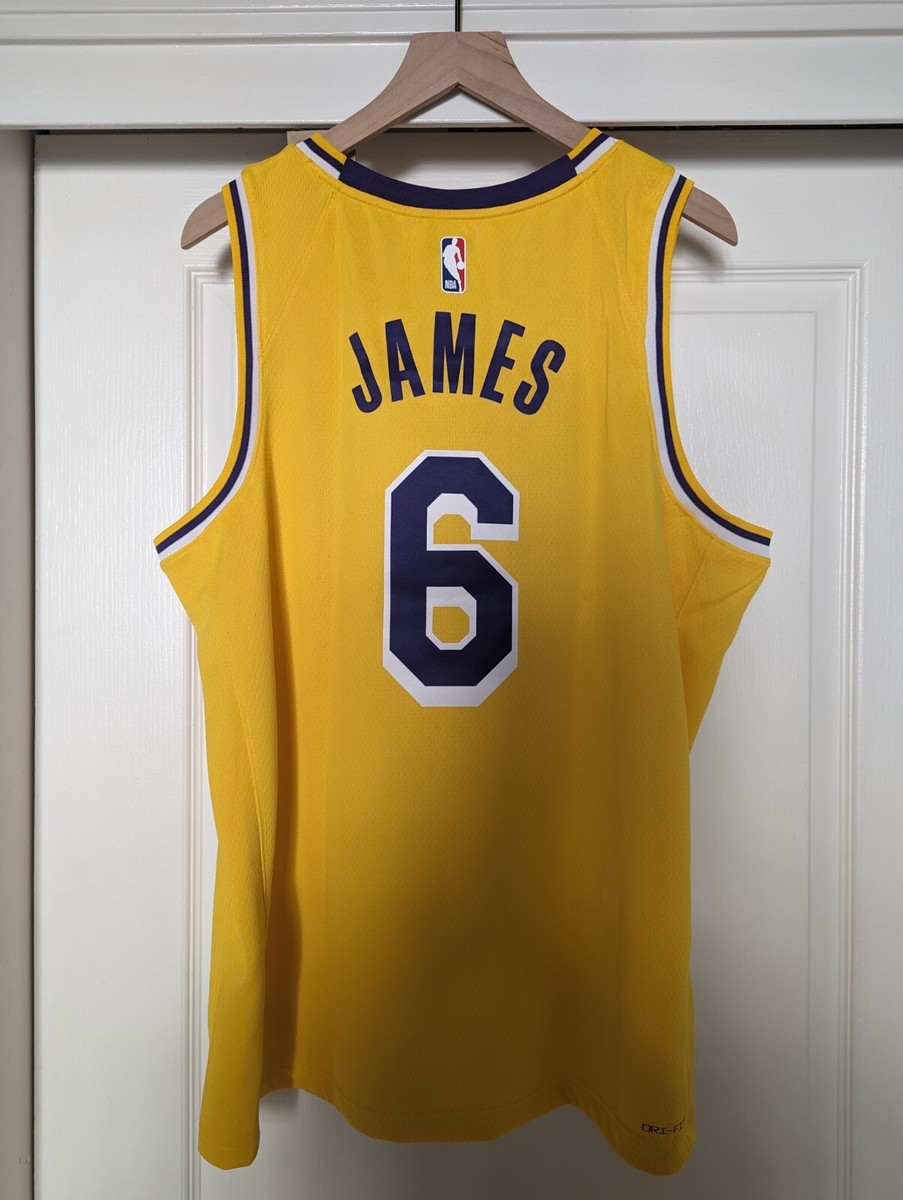 NIKE LAKERS JAMES 6 ジャージ s-l400.jpg