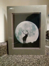 Landscape Art Full Moon Wildlife Fine Art Big Elk Big  Mountain Denver Bryan 