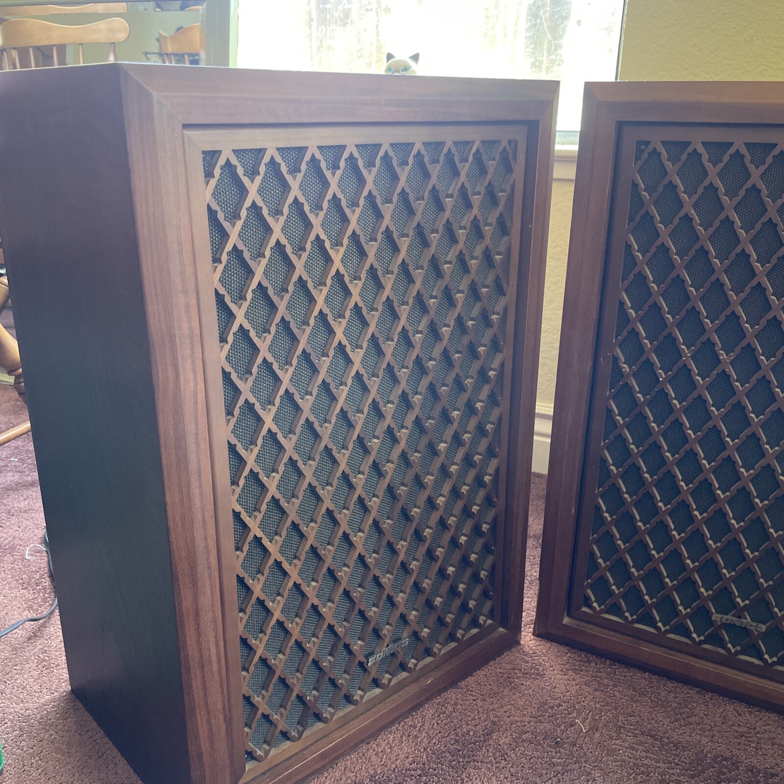Sonics AS-447S vintage speakers