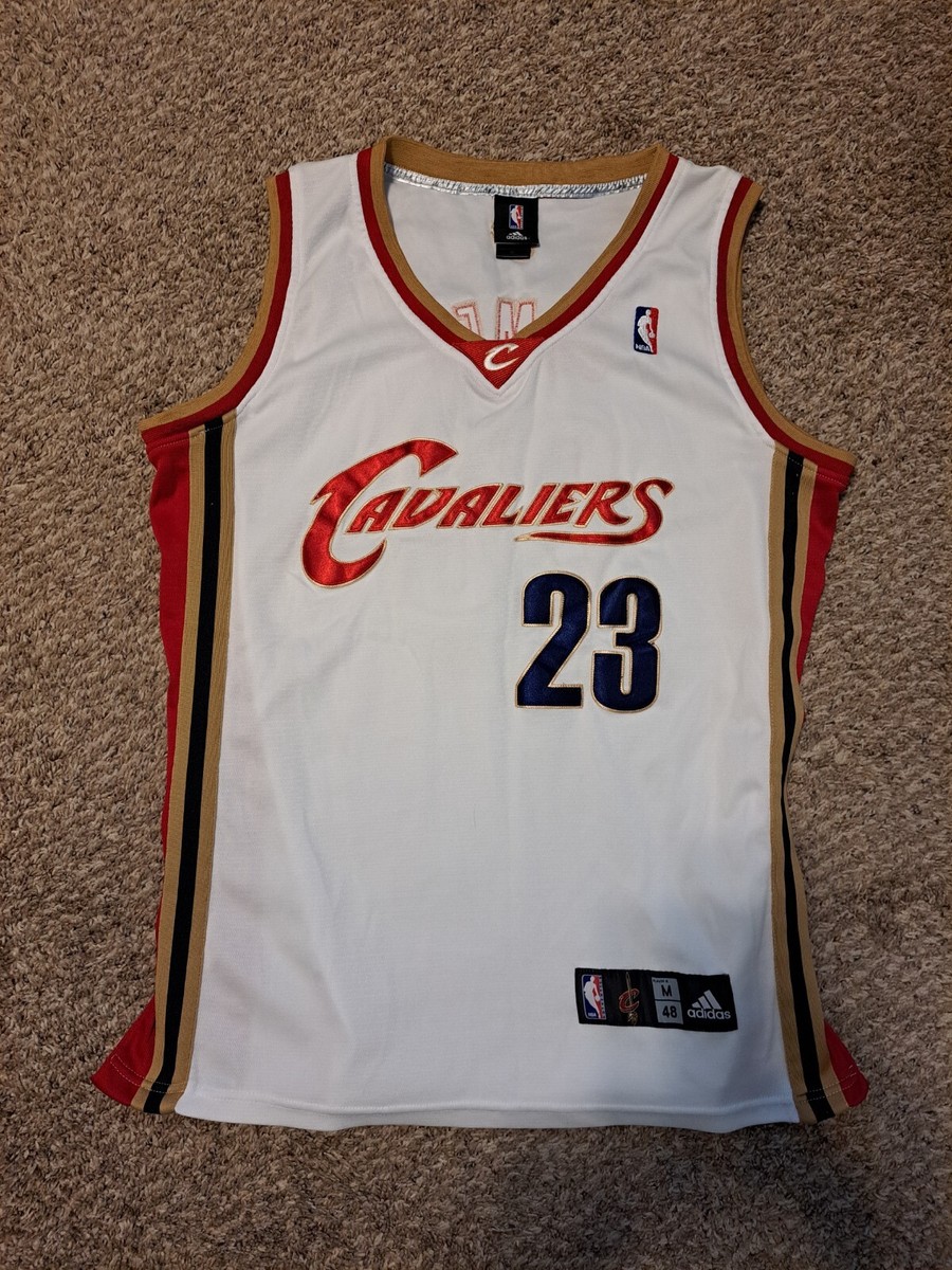 レブロン・ジェームズ クリーブランド・キャバリアーズ シャツ 2003 Vintage 2003 Nike Lebron James Cleveland Cavaliers Jersey Swingman