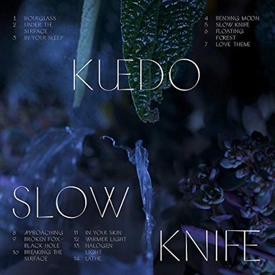 Kuedo Slow Knife Double LP Vinyl ZIQ380 NEW