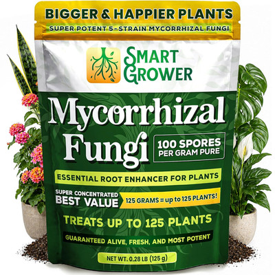 Mycorrhizal Fungi Organic Root Enhancer for Plants, Super Potent 100 Spores per