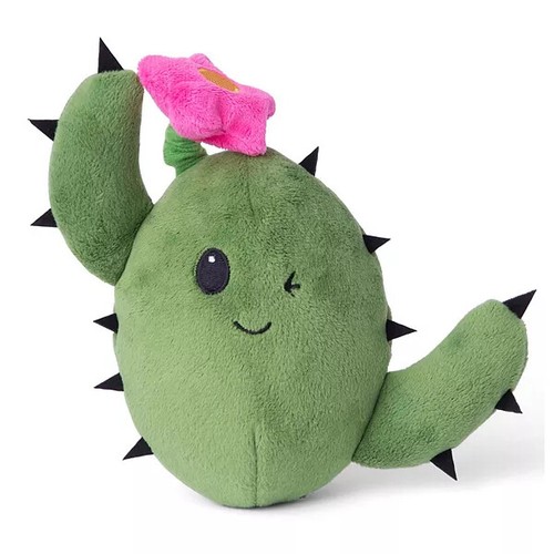 Bark Box Consuela The Cactus Flower 7X9