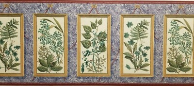 Decorative Leaves in Frames Wallpaper Border  BIG ROLL