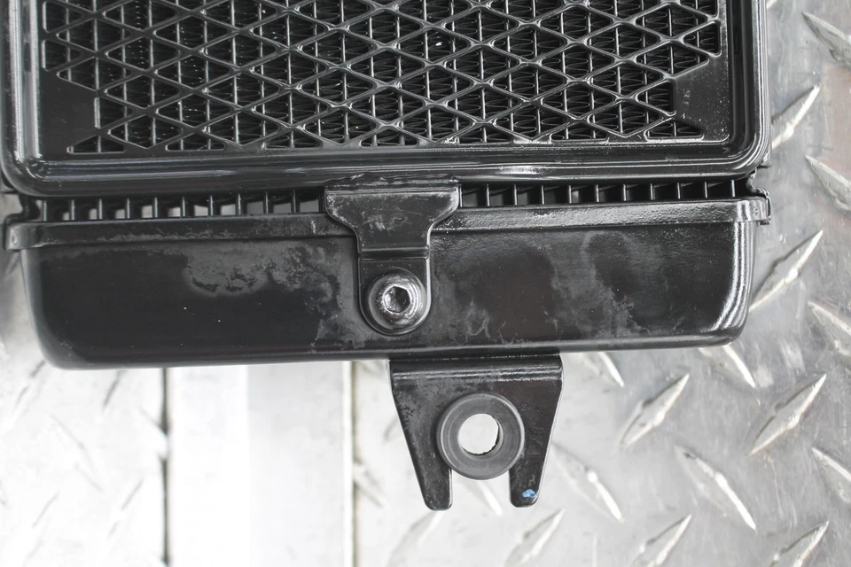 Triumph Street 2016 doble motor radiador motor enfriador radiador de refrigeración Foto 3 de 4