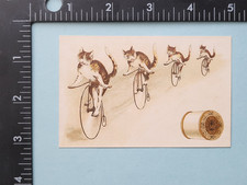 19thC victorian trade card thread ad Cat's riding High Wheeler penny-farthing