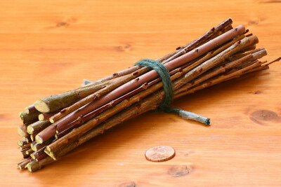 25 Hand-cut Willow Chew Sticks, USA, Organic, No Chemicals! Rabbit, 6''